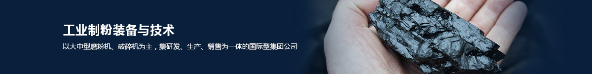 工业制粉设备与技术
